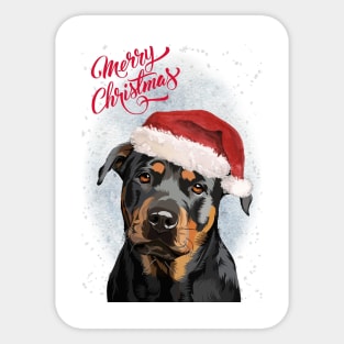 Rottweiler Merry Christmas Santa Dog Sticker